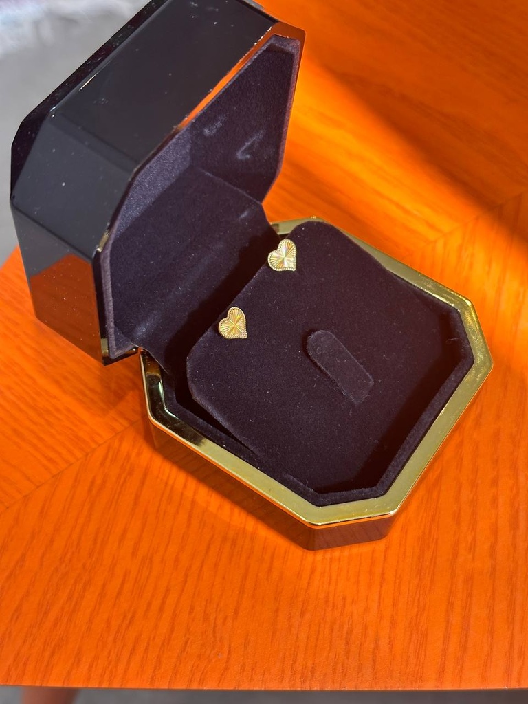 Heart earrings 3D