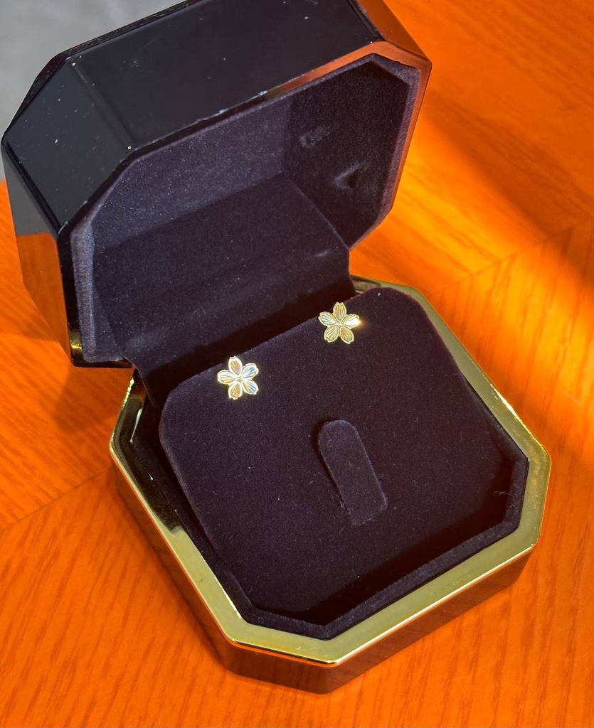Heart earrings 3D