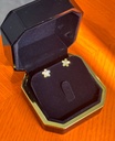 Heart earrings 3D