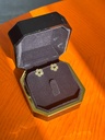 Velvet earrings