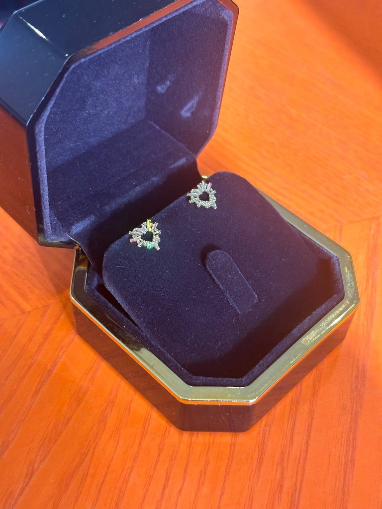 Shiny Hearts earrings