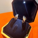 Tricolor earrings