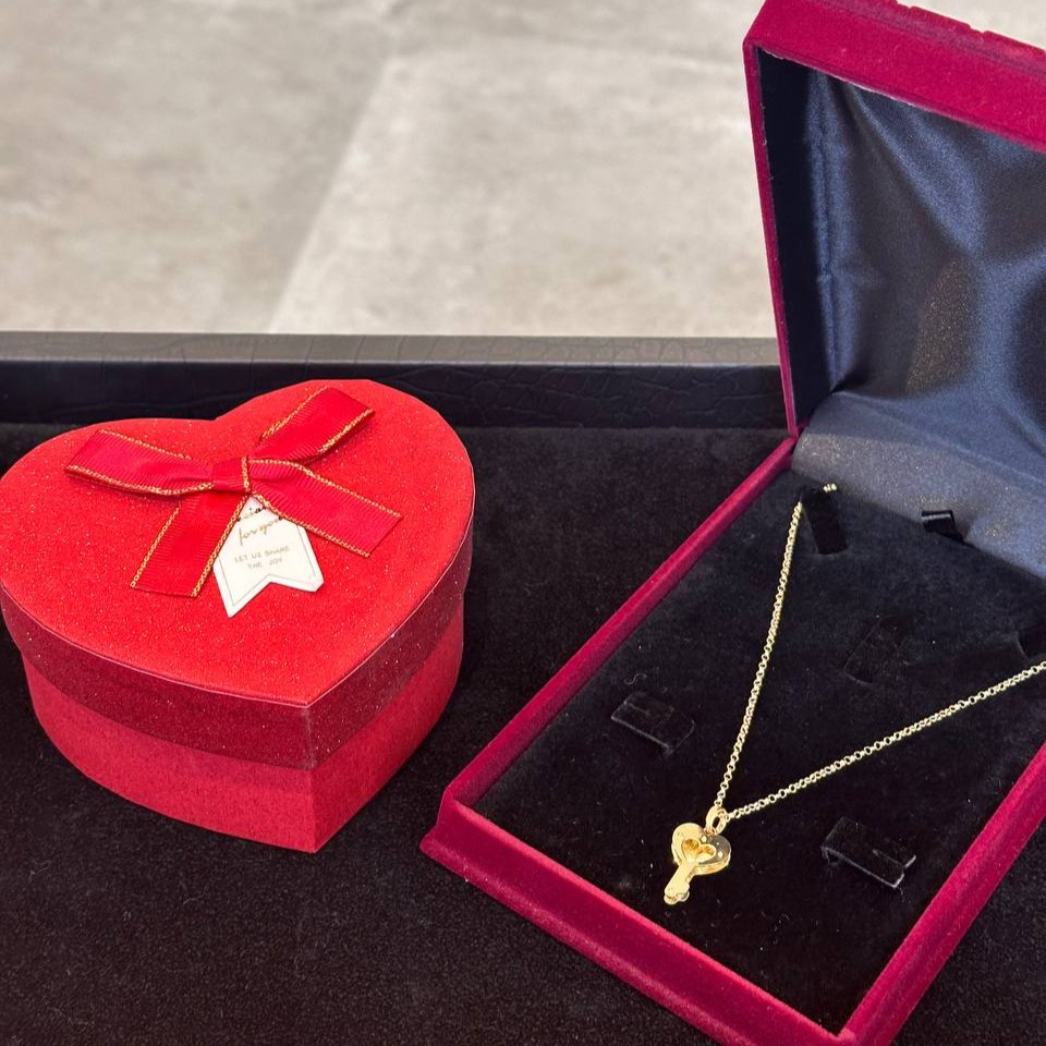 Heart key necklace