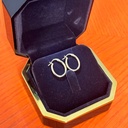 Oval earrings