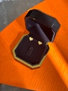 Heart earrings 3D