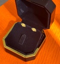 Fan earrings