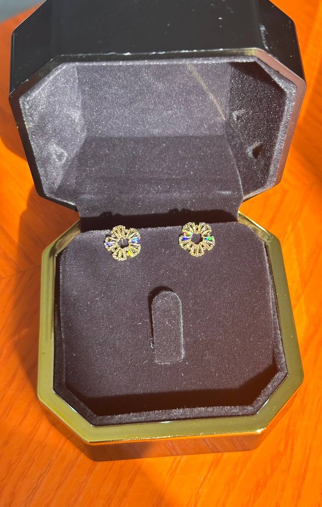 Velvet earrings