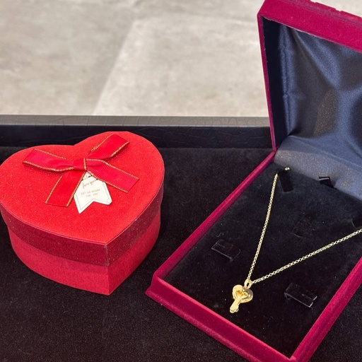 Heart key necklace