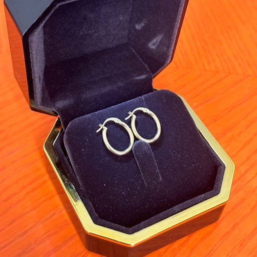 Oval earrings