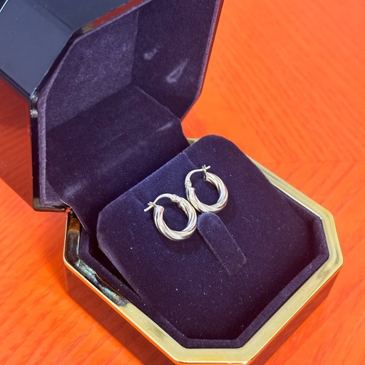 Round earrings