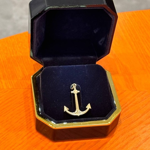 Anchor charm