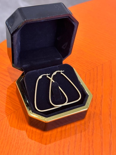 Large triangular earrings