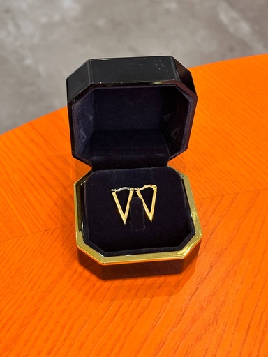 Small V-shaped earrings