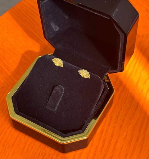Fan earrings
