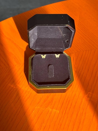 تراجي فراشات