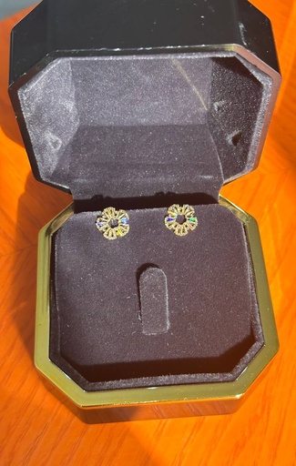 Velvet earrings