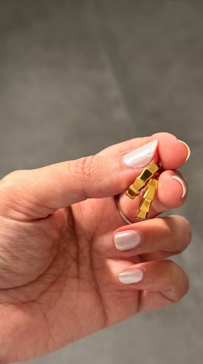 Sleek Gold earrings